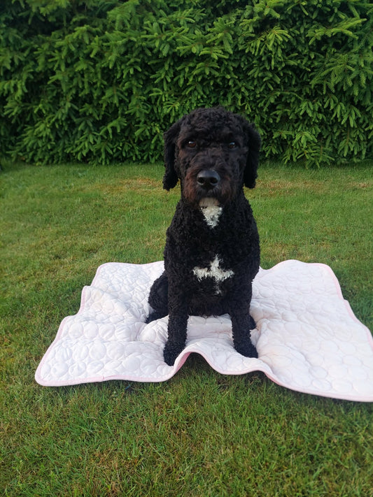 The perfect cooling blanket,