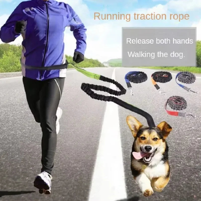 Resor Koppel, promenader, löpning, jogging, justerbart hundkoppel